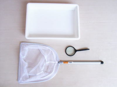 ���������ώ@�Z�b�g