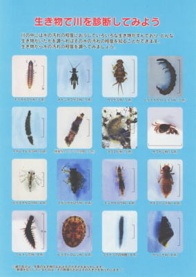 �����Ő��f�f���Ă݂悤