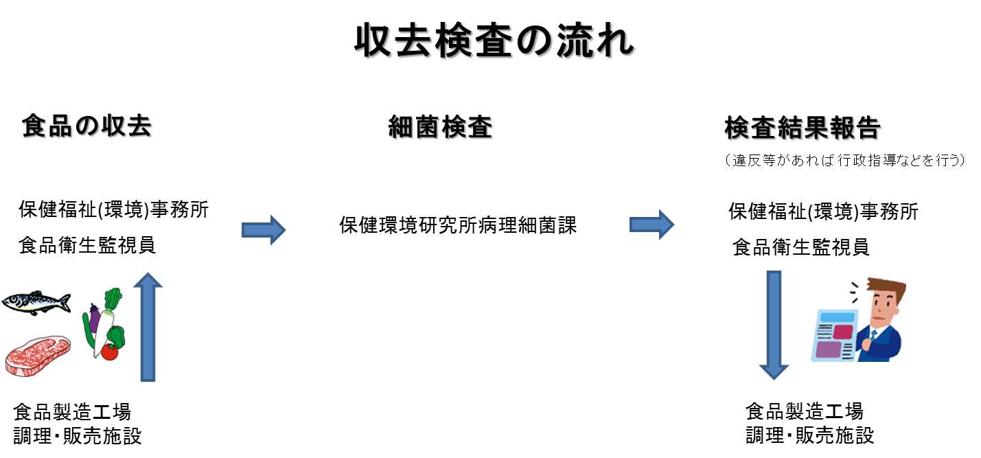 ���������̗���